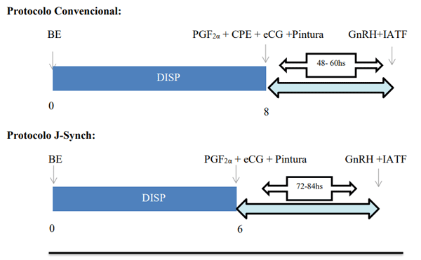 Fig. 2.2. Esquema de los protocolos utilizados en los diferentes Establecimientos. Referencias: BE (2 mg benzoato de estradiol), DISP (dispositivo con 0,5 o 0,6 g de progesterona), PGF2α (500 µg cloprostenol), eCG (200 UI/300 UI Gonadotrofina Coriónica Equina), GnRH (100 µg acetato de gonadorelina), CPE (0.5 mg cipionato de estradiol), IATF (inseminación artificial a tiempo fijo), Pintura detector de celo.