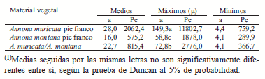 Crecimiento y topología de la ramificación de la guanábana y el manirote - Image 3