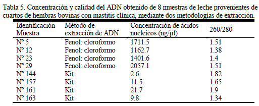 Implementación de la reacción en cadena de la polimerasa (PCR) como método de detección de Streptococcus agalactiae en muestras de leche bovina en Antioquia, Colombia - Image 1