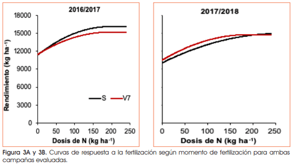 Manejo de la fertilización nitrogenada en maíz de fecha temprana en el sudeste de Córdoba - Image 9
