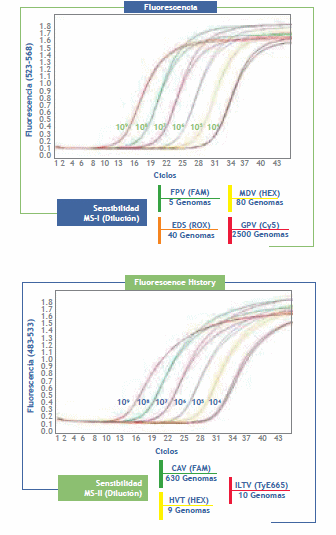 Detección e identificación de virus ADN que infectan pollos utilizando multiplex TaqMan en PCR tiempo real - Image 1
