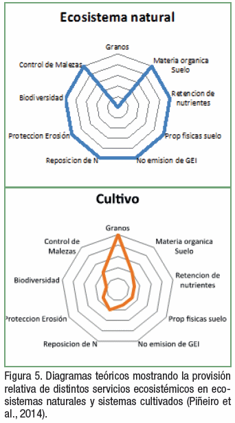 La materia orgánica de los suelos agrícolas: Formación, evolución y manejo. - Image 5