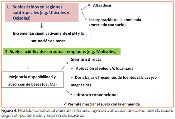 Buenas prácticas de manejo de fertilizantes y enmiendas en suelos acidificados de la Región Pampeana - Image 7