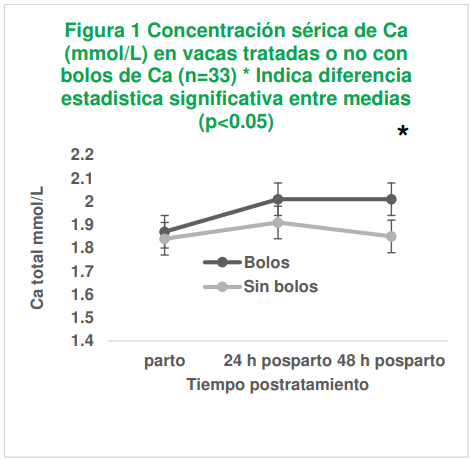 Figura 1 Concentración sérica de Ca (mmol/L) en vacas tratadas o no con bolos de Ca (n=33) * Indica diferencia estadistica significativa entre medias (p< 0.05)
