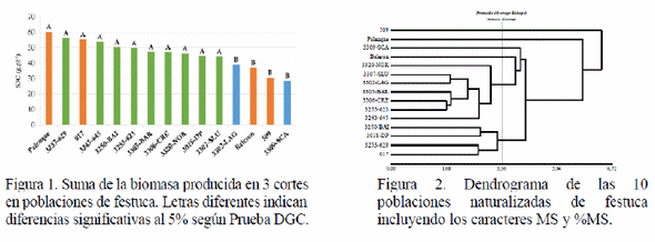 Biomasa y correlaciones con caracteres morfofisiológicos en Festuca alta naturalizada - Image 1