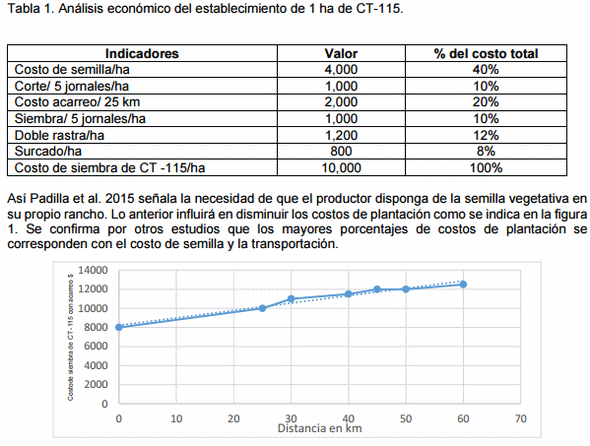 Comportamiento de los costos de plantación del pasto cuba CT-115, pennisetum purpureum, en la zona tropical del centro de veracruz. - Image 1