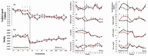 Suplementación pre parto en vacas de cría: Efectos sobre la condición corporal y concentración plasmática de metabolitos e insulina - Image 1
