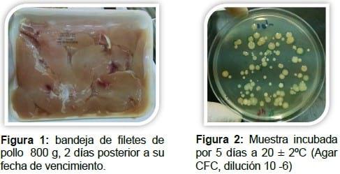 Resistencia antibacteriana de Pseudomonas alterantes de pollo - Image 1