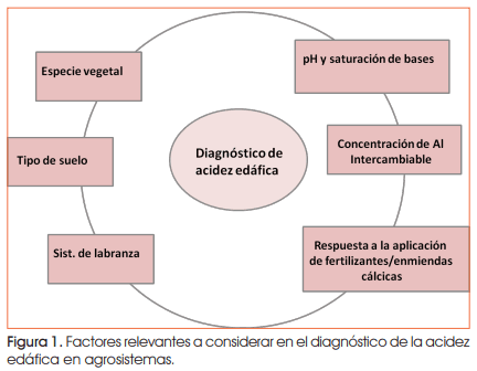 Buenas prácticas de manejo de fertilizantes y enmiendas en suelos acidificados de la Región Pampeana - Image 1