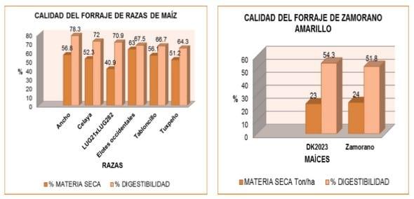 Distribución de razas de maíz nativo (Zea mays L) para forraje en Jalisco, México - Image 2