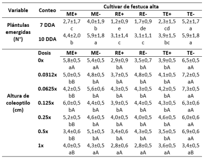 Tabla 1. Número de plántulas emergidas y altura de coleoptilo de cultivares de festuca alta libres e infectados con endófitos AR584 a los 7 y 10 DDA de diferentes dosis de herbicida Cletodim. Letras minúsculas (dentro de cada fila) y letras mayúsculas (dentro de cada columna) iguales indican diferencias no significativas (=0,05).