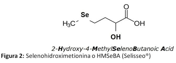 Seleno-hidroxi-metionina: Función del selenio en el sistema de defensa antioxidante - Image 2