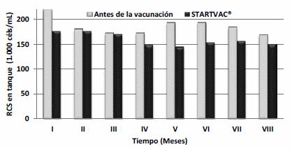 Experiencia de campo con STARTVAC® para el control de Staphylococcus Aureus en una ganadería del norte de España - Image 1