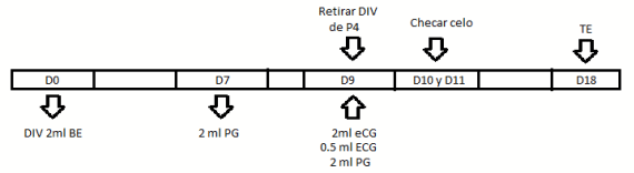 Figura 1. Diagrama del protocolo a seguir para sincronizar a las vacas candidatas a ser receptoras.