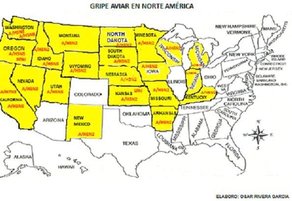 Gripe Aviar: Alerta Anual para América - Image 1