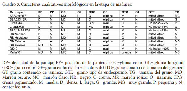 Descripción varietal de genotipos de sorgo elite con buena adaptación al noreste de México. - Image 4