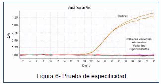 Desarrollo de un ensayo de PCR en tiempo real para la detección de un linaje distinto de IBDV (dIBDV) - Image 7