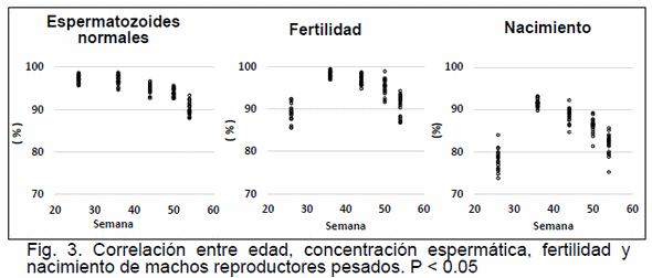 Efecto del ambiente, del peso corporal y de las características sexuales secundarias de machos reproductores sobre la fertilidad - Image 6