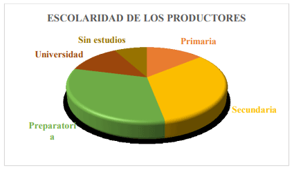 Figura 2. Escolaridad de los productores de ganado bovino en Olinalá, Guerrero, 2019.