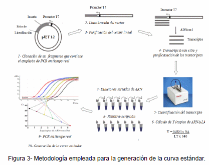 Desarrollo de un ensayo de PCR en tiempo real para la detección de un linaje distinto de IBDV (dIBDV) - Image 4