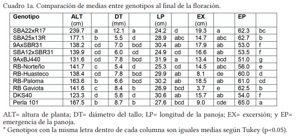 Descripción varietal de genotipos de sorgo elite con buena adaptación al noreste de México. - Image 1