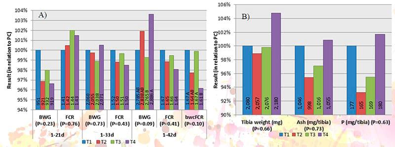 Efecto al incrementar los niveles de una fitasa E coli genéticamente modificada en dietas de pollo de engorda sobre el desempeño productivo y parámetros de hueso - Image 1