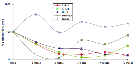 Aislamiento y determinación de cepas bacterianas con actividad nematicida. Mecanismo de acción de C. paurometabolum C-924 sobre nemátodos - Image 6