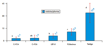 Aislamiento y determinación de cepas bacterianas con actividad nematicida. Mecanismo de acción de C. paurometabolum C-924 sobre nemátodos - Image 5