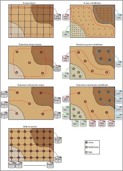 Conceptos de utilidad para lograr un correcto muestreo de suelos - Image 4