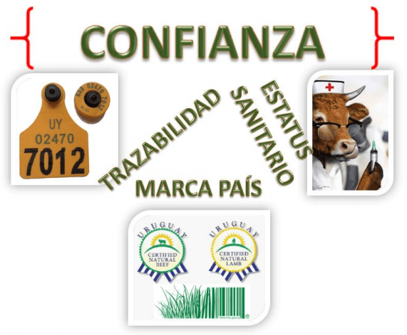 Trazabilidad animal un requisito para todos los productores de alimentos “Modelo implementado en Uruguay” - Image 2