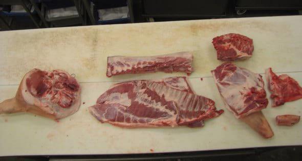 Calidad de carnes porcinas - Image 1