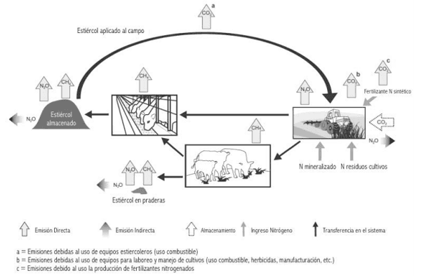 Intensificación de los sistemas ganaderos y la contaminación ambiental, el caso de los gases efecto invernadero y el nitrógeno - Image 3