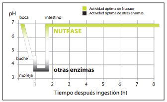 Arabinoxilanos: El factor antinutricional principal - Image 9