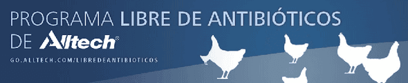 Las 7 preguntas que temía hacer acerca del uso de antibióticos en el alimento para animales - Image 2