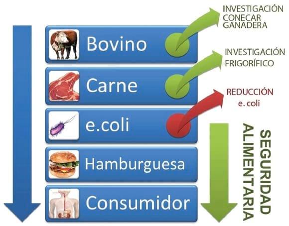 Inclusión de Taninos en Alimentación de Bovinos engordados a corral, impacto sobre productividad y Salud publica. - Image 1