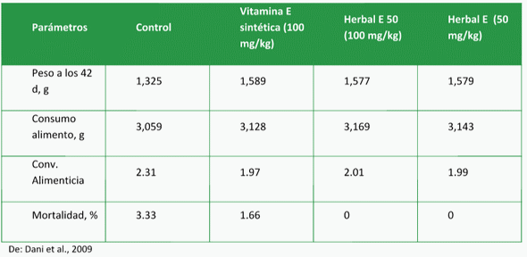 Fuentes naturales y sintéticas de la vitamina E. Diferencias y eficiencia. - Image 6