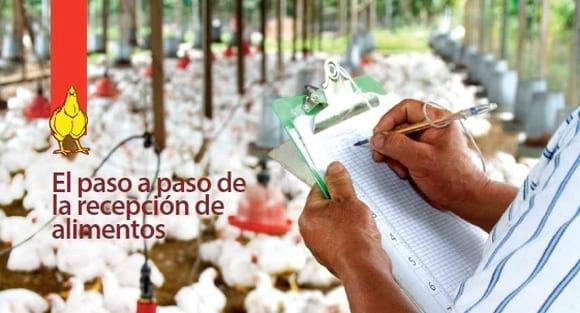 El paso a paso de la recepción de alimentos en granjas avícolas - Image 1