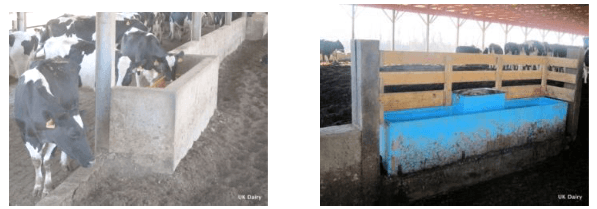 Estabulación de vacas en Compost. (“Bedded-Pack”) - Image 9