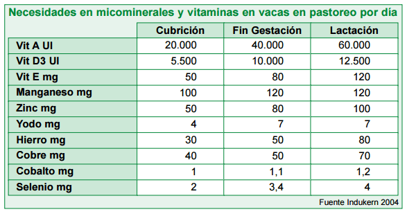 Necesidades en Minerales y Vitaminas en Vacas de Campo - Image 2