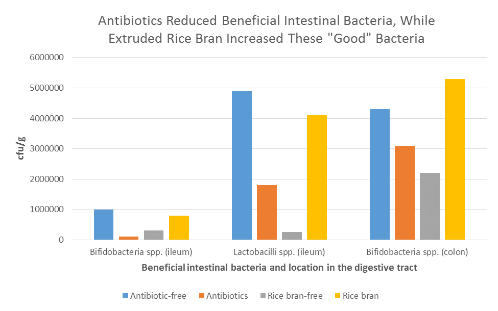 El salvado de arroz extruido puede ayudar a reemplazar los antibióticos en las dietas para animales, Parte 2 - Image 3