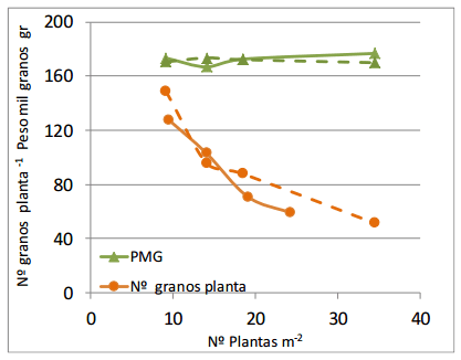 Efectos de la reducción de la densidad de siembra en soja - Image 4