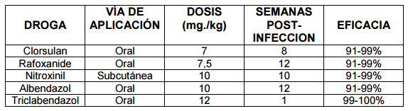 Diagnostico diferencial ante mortem entre Fasciola hepatica y Cotylophoron spp - Image 12