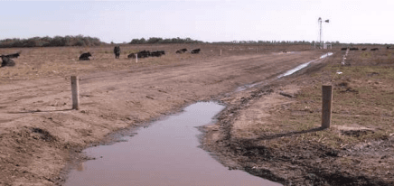 Recarga inducida al acuífero libre con agua de lluvia para abrevado de ganadería de cría - Image 5