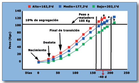 Aumento de homogeneidad en la fase de Cebo - Image 2