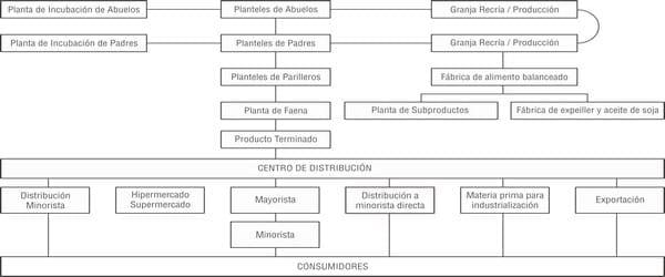 Producción de pollos parrilleros en países sudamericanos y planes sanitarios nacionales para el control de Salmonella en dichos animales - Image 3
