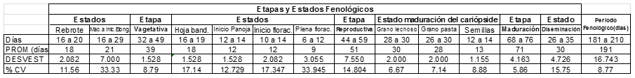 Fenología - Bromatología de (Festuca Dolichophylla) en praderas Altoandinas, Microcuenca Chikllarazu-Ayacucho - Image 2