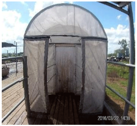 Comportamiento de vacas en ordeñe ante una alternativa de control no químico de la “mosca de los cuernos” (Haematobia irritans) - Image 2