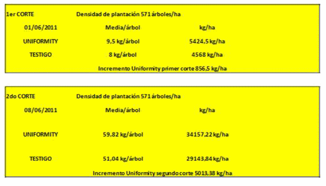 Inducción y diferenciación floral por reservas y equilibrios hormonales en: Cereza - Melocotón y Albaricoque - Image 32