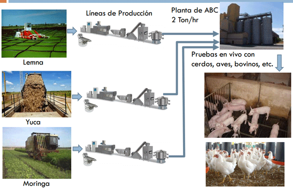 Alimentación de animales de granja en el trópico, desde la perspectiva de la Ingeniería Química - Image 17