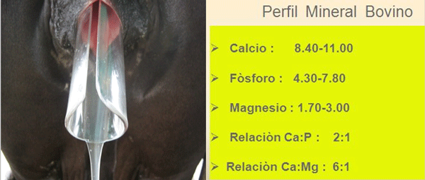 Diagnosis de Hipocalcemias en Vacas de Transición en Fincas lecheras de Trópico Venezolano - Image 23